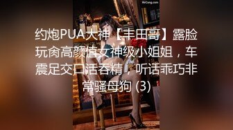 约炮PUA大神【丰田哥】露脸玩肏高颜值女神级小姐姐，车震足交口活吞精，听话乖巧非常骚母狗 (3)