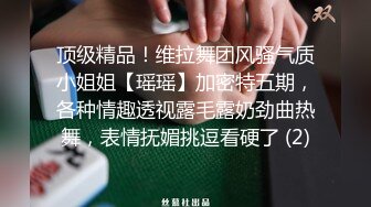 顶级精品！维拉舞团风骚气质小姐姐【瑶瑶】加密特五期，各种情趣透视露毛露奶劲曲热舞，表情抚媚挑逗看硬了 (2)