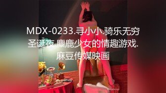 MDX-0233.寻小小.骑乐无穷圣诞夜.麋鹿少女的情趣游戏.麻豆传媒映画