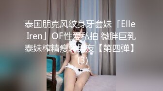 泰国朋克风纹身牙套妹「Elle Iren」OF性爱私拍 微胖巨乳泰妹榨精瘦弱男友【第四弹】 (3)