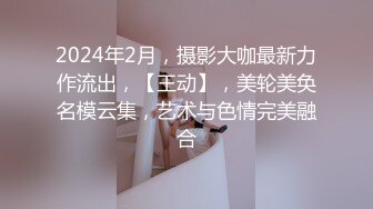 2024年2月，摄影大咖最新力作流出，【王动】，美轮美奂名模云集，艺术与色情完美融合