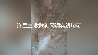 许昌主.收贱狗网调实践均可