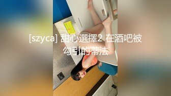 [szyca] 甜心選擇2 在酒吧被勾引的蒂法