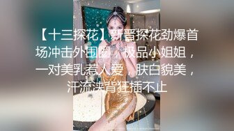 【十三探花】新晋探花劲爆首场冲击外围圈，极品小姐姐，一对美乳惹人爱，肤白貌美，汗流浃背狂插不止