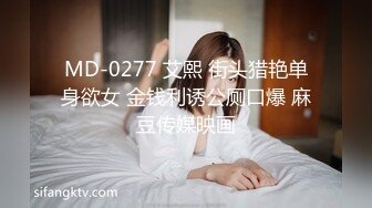 MD-0277 艾熙 街头猎艳单身欲女 金钱利诱公厕口爆 麻豆传媒映画