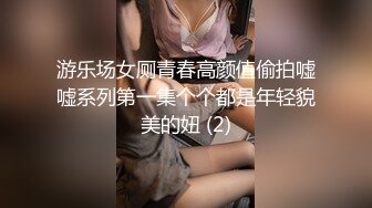 游乐场女厕青春高颜值偷拍嘘嘘系列第一集个个都是年轻貌美的妞 (2)