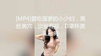 [MP4]爱吃菠萝的小少妇，黑丝美穴，沙发开抠，D罩杯美乳乱舞