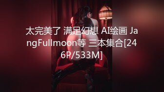 太完美了 满足幻想 AI绘画 JangFullmoon等 三本集合[246P/533M]