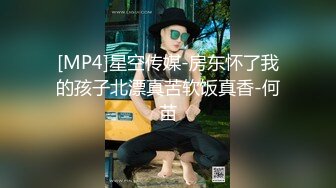 [MP4]星空传媒-房东怀了我的孩子北漂真苦软饭真香-何苗