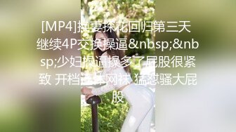 B站170长腿妹【芋圆有点甜】性感空姐写真丝袜美腿巨乳+热舞视频