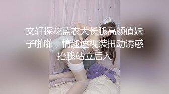 文轩探花蓝衣大长腿高颜值妹子啪啪，情趣透视装扭动诱惑抬腿站立后入